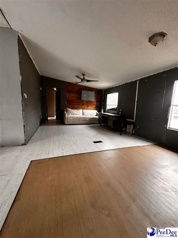 447 Annie ln, Latta, SC 29565