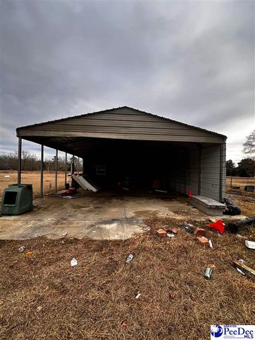 447 Annie ln, Latta, SC 29565