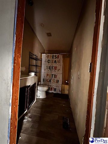 447 Annie ln, Latta, SC 29565