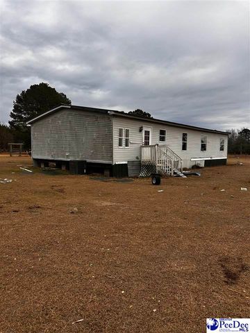 447 Annie ln, Latta, SC 29565