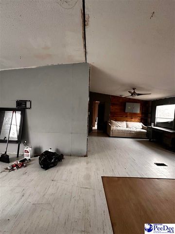 447 Annie ln, Latta, SC 29565