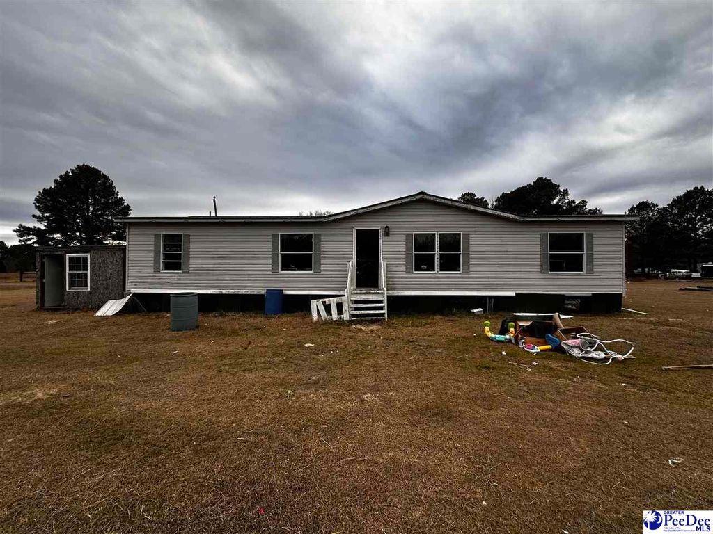 447 Annie ln, Latta, SC 29565