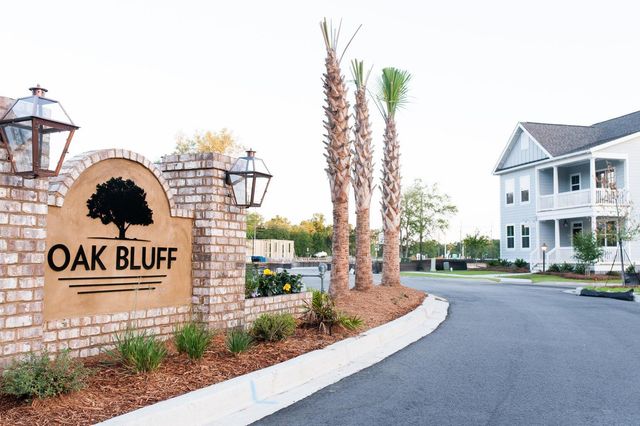 1122 Burkets Bend Lane, Charleston, SC 29492