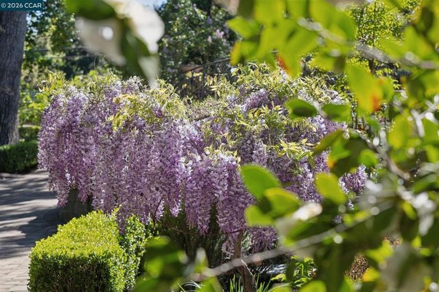 2358 Stone Valley Rd, Alamo, CA 94507