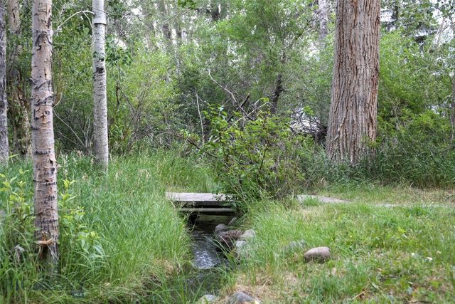 9 Grizzly Meadow Road, Emigrant, MT 59027