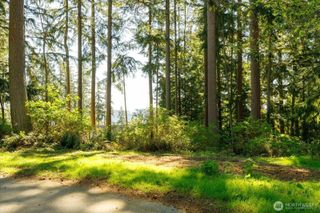 0 xxx Patos Lane, Clinton, WA 98236