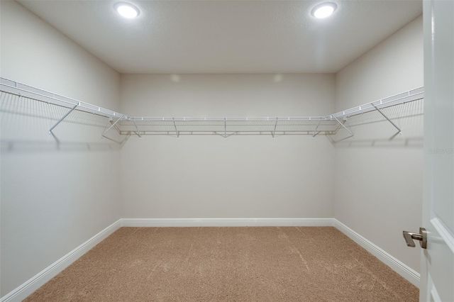 9936 ANNUNCIATION DRIVE, Wesley Chapel, FL 33545