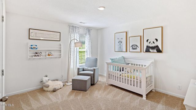 387 Alta Tree Blvd, Johnson City, TN 37604