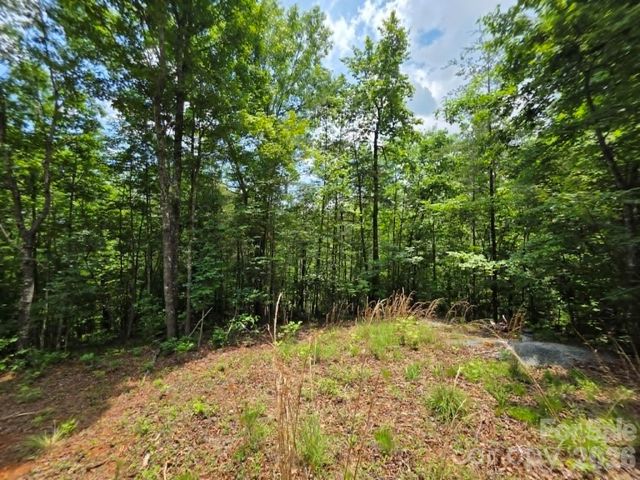 169 Fairfield Lane, Marion, NC 28752
