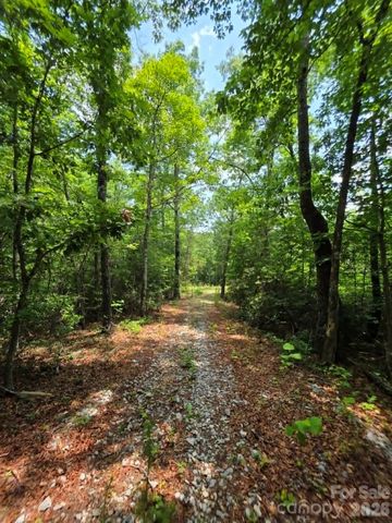 169 Fairfield Lane, Marion, NC 28752