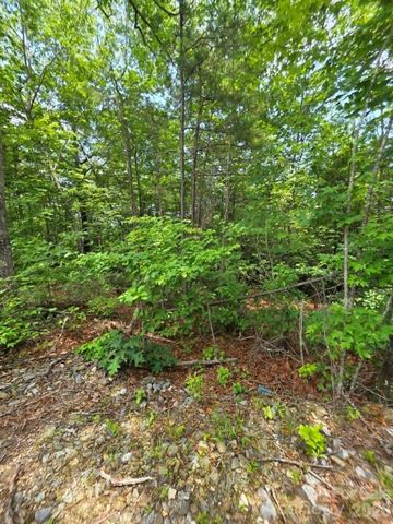 169 Fairfield Lane, Marion, NC 28752