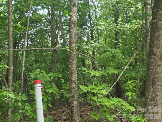 169 Fairfield Lane, Marion, NC 28752