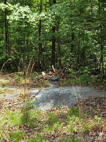 169 Fairfield Lane, Marion, NC 28752