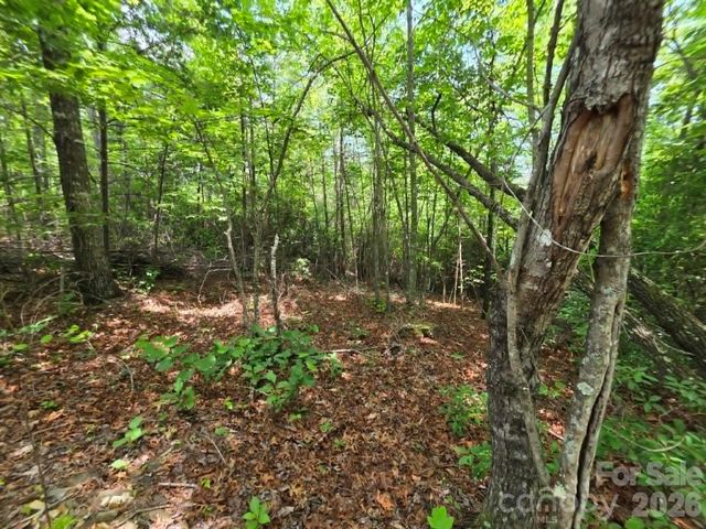 169 Fairfield Lane, Marion, NC 28752