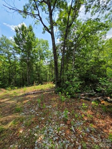 169 Fairfield Lane, Marion, NC 28752