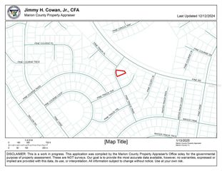 0 PINE TRACK PASS, Ocala, FL 34472