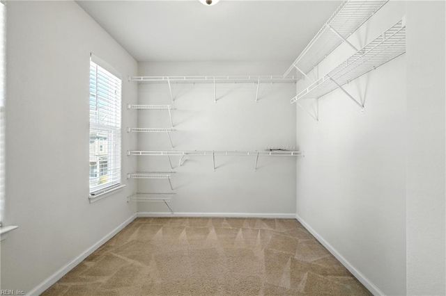 516 Cape Joshua LN, Virginia Beach, VA 23462