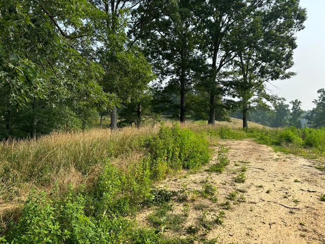 Tract 26 Pittsburg Landing Road, London, KY 40741