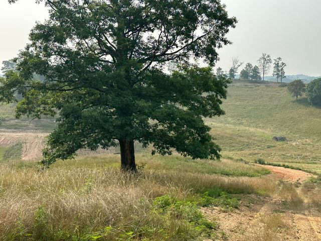 Tract 26 Pittsburg Landing Road, London, KY 40741