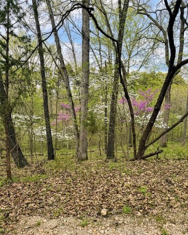 Lot 16 Bedlington Lane, Bella Vista, AR 72714