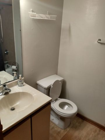 17985 Amherst Court 1-103, Country Club Hills, IL 60478