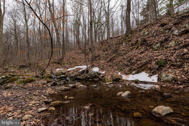 1918 JEWELL HOLLOW RD, Luray, VA 22835