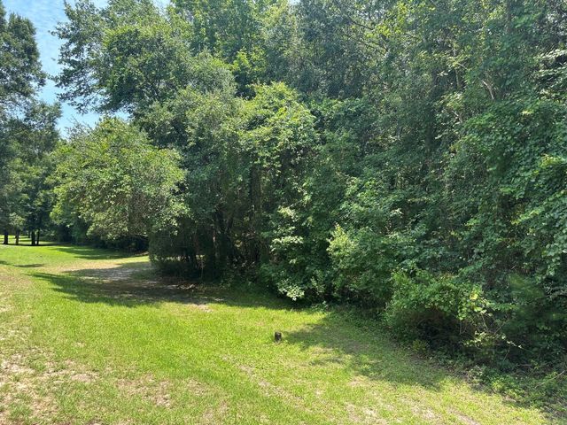 2858 Woodland Park Drive, Mount Pleasant, SC 29466