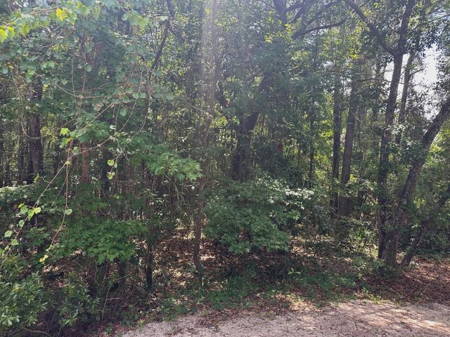 2858 Woodland Park Drive, Mount Pleasant, SC 29466