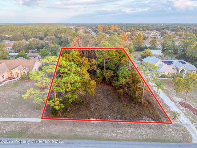 5176 Fenian Drive, Spring Hill, FL 34609