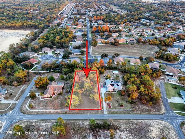 5176 Fenian Drive, Spring Hill, FL 34609