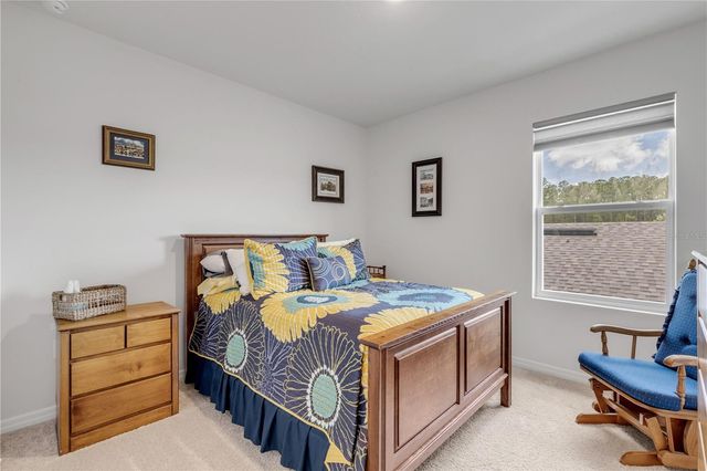 363 CARYOTA COURT, New Smyrna Beach, FL 32168