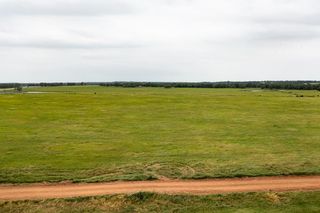 Tract 1 August Anna RD, Paige, TX 78659