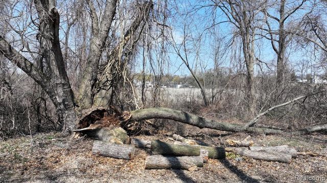 TBD Steadfield Street, Commerce Twp, MI 48382