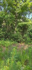 0 Cherokee Drive, North Augusta, SC 29841