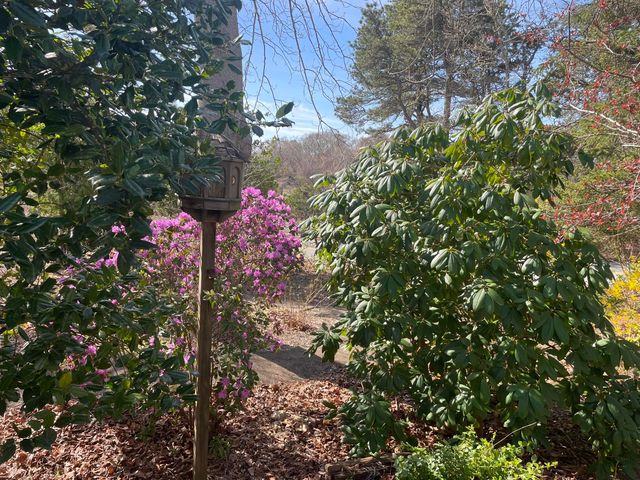 209 Union Street, Yarmouth Port, MA 02675