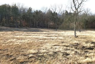 000 Lot 179 Silver Sunset Lane, Kimberling City, MO 65686