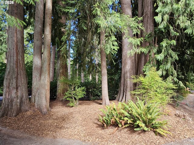 18504 Ne CEDAR Dr, Battle Ground, WA 98604