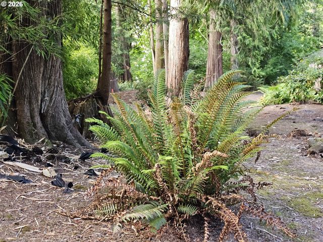 18504 Ne CEDAR Dr, Battle Ground, WA 98604