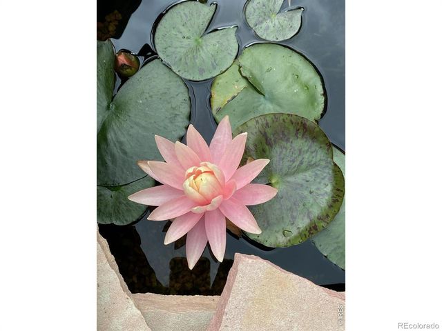 302 Horizon Avenue, Lochbuie, CO 80603