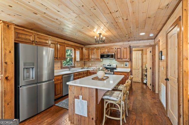 19 Chestnut Hills Lane, Blue Ridge, GA 30513