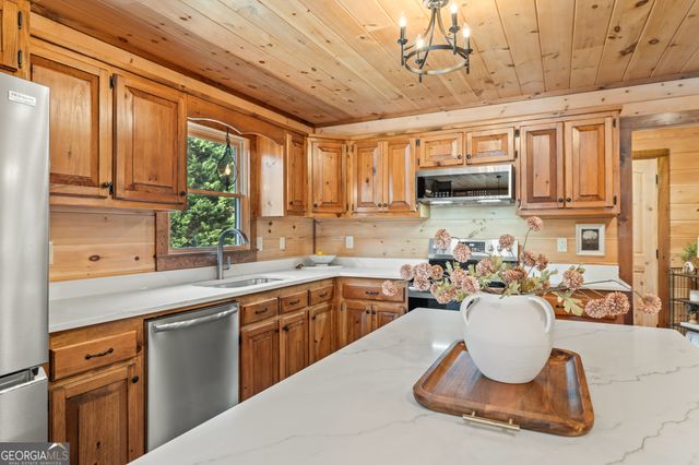 19 Chestnut Hills Lane, Blue Ridge, GA 30513