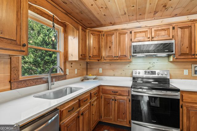 19 Chestnut Hills Lane, Blue Ridge, GA 30513