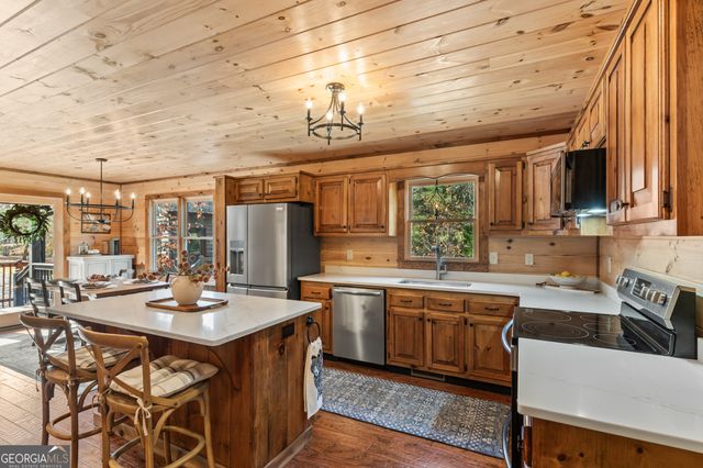 19 Chestnut Hills Lane, Blue Ridge, GA 30513