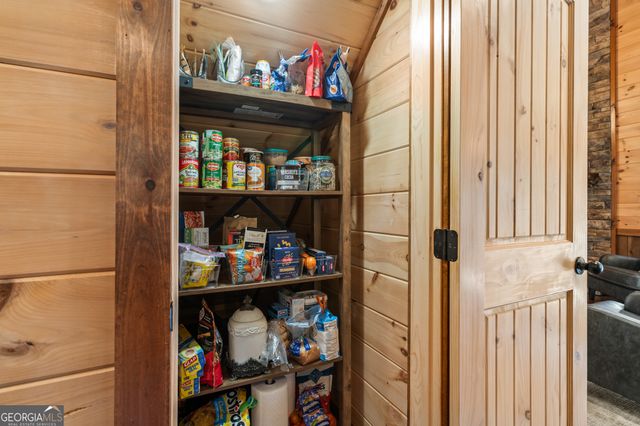 19 Chestnut Hills Lane, Blue Ridge, GA 30513