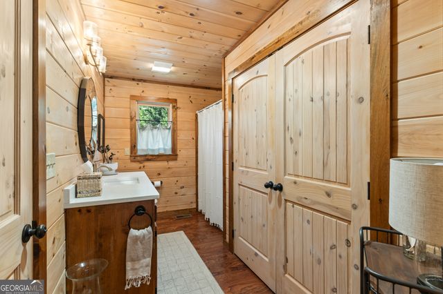 19 Chestnut Hills Lane, Blue Ridge, GA 30513