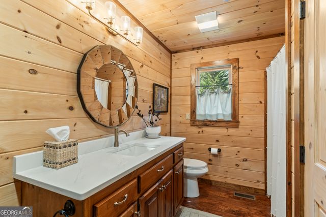 19 Chestnut Hills Lane, Blue Ridge, GA 30513