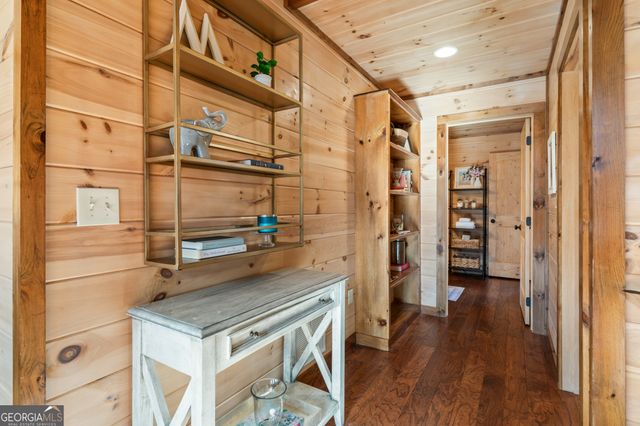 19 Chestnut Hills Lane, Blue Ridge, GA 30513