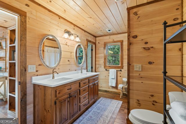 19 Chestnut Hills Lane, Blue Ridge, GA 30513