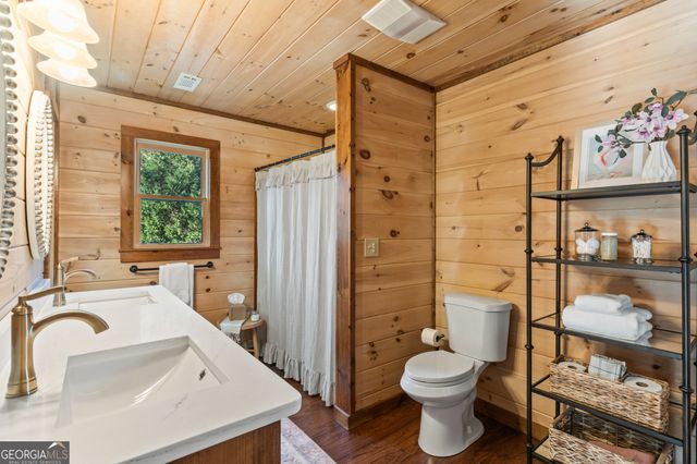 19 Chestnut Hills Lane, Blue Ridge, GA 30513