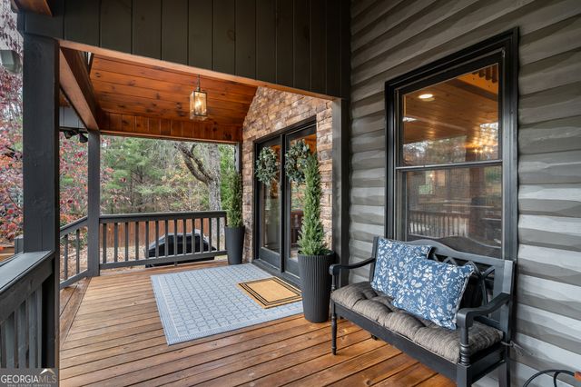 19 Chestnut Hills Lane, Blue Ridge, GA 30513